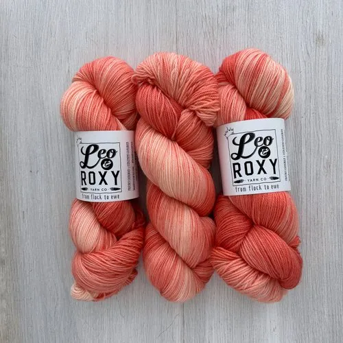 Leo & Roxy Sock Yarn