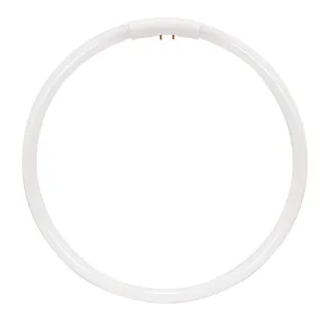 Satco S8164 Fluorescent Circline T5